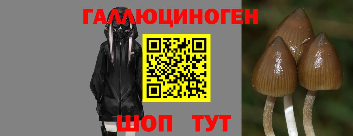Галлюциногенные грибы Psilocybe  Вход с VPN  Псилоцибиновые грибы Cubensis  Ступино 